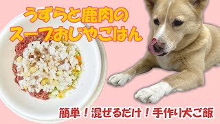 【簡単手作り犬ご飯】うずらと鹿肉のスープおじやごはん【帝塚山ハウンドカム】