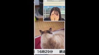 【武藤彩芽】もぐゆいが乗り移ってしまったあーちゃん【ウェザーニュースライブ】