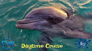 The Fun Boats Day Time Dolphin Cruises