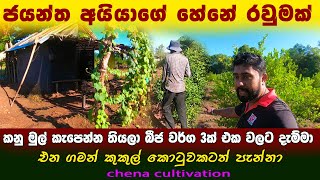 කනු මුල් කැපෙන්න තියලා එක වලේ බීජ  වර් ග 3ක් දැම්මා | හේනට ගිහින් එන ගමන් කුකුල් කොටුවකට පැන්නා