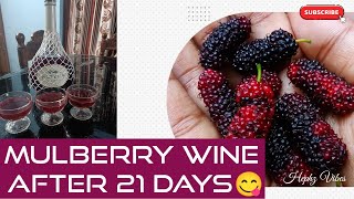 മൾബറി വൈൻ 21 ദിവസത്തിന് ശേഷം 😋👌 | Mulberry Wine after 21 days 🍷@HephzVibes