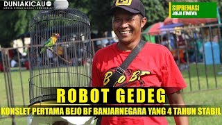 Supremasi Jogja Istimewa : ROBOT GEDEG Konsletan PERTAMA BEJO BF Banjarnegara Yang 4 Tahun Stabil