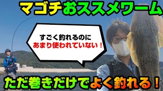 【マゴチ釣り】初心者でもゆっくり巻くだけでマゴチが爆釣！あまり使われていないから釣れる！マゴチおすすめワーム解説