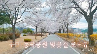 구미 벚꽃명소 동락공원 로드뷰