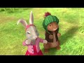 @officialpeterrabbit 🦉 adventures on owl island 🏝️ world habitat day cartoons for kids