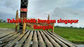 Belajar Tabuh Rindik Bungan Singapur (sangsih)