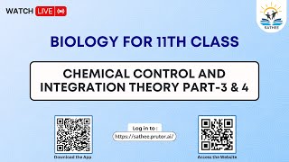 Biology Class 11th | Chemical control and integration Theory Part-3 \u0026 4