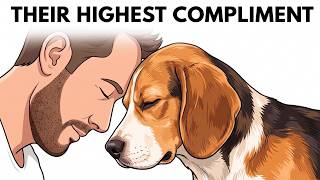 Your dog does this every day and you are interpreting it WRONG.