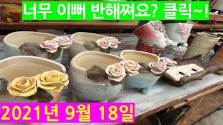 21년9월18일, 5만원이상 무료택배(감동다육화분 주문전화 : 010-8908-2503)  다양한 예쁜화분들의 매력을 느껴보세요~^^ #수제화분 #다육화분