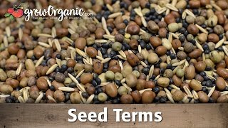 Understanding Seed Terms