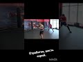 Бокс. Отработка. бокс спорт boxing sports Больше в ТГ в описании канала.