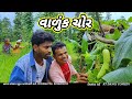 વાળુંક ચોર 🤣(ફૂલ કૉમેડી) Vaduk Chor Rt Dangi Comedy