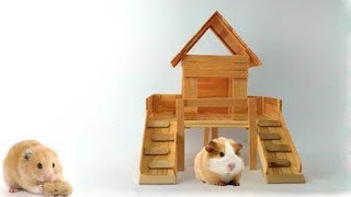 How to Make Hamster House from Popsicle Sticks