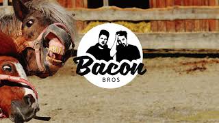 Pitbull feat. Lil Jon - Krazy (Bacon Bros Remix)