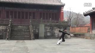 Wudang Zhi Wu Spear