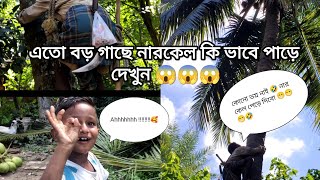 COCONUT PROCESSING IN VILLAGE : গ্রাম বাংলায় নারকেল কিভাবে পাড়ে?????🌴 ❤️ #Village #Minivlogs