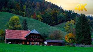 Switzerland 🇨🇭 scenic evening walk in beautiful Ruti bei Riggisberg, fall 2022