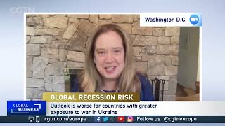 IMF Research Department Deputy Director Petya Koeva Brooks joins CGTN Europe