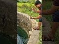 my farm house🏝️🏝️🌲🌲🌳🌴 shorts shortvideo trending trendingshorts