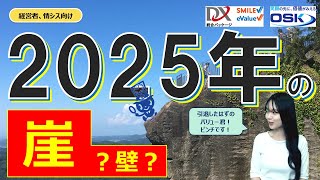 やさしく解説「2025年の崖」？「2025年の壁」？