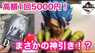 １回5000円の一番くじでまさかの神引き！？最高クオリティのゴジータがカッコ良すぎた！