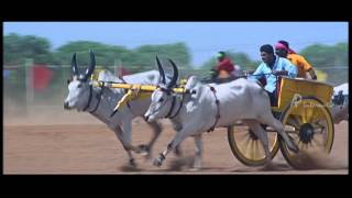 Friends | Tamil Movie | Scenes | Clips | Comedy | Songs | Vijay participates in bullock cart race
