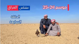 صيد الحباري مع فريق #مقناص_العراق: مغامرة في بادية البصرة الحلقة 7