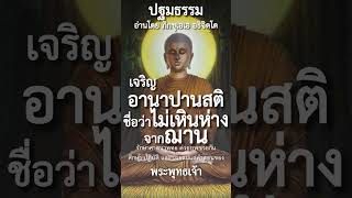 เจริญอานาปานสติ ชื่อว่าไม่เหินห่างจากฌาน #พุทธวจน #ปฐมธรรม #ภิกขุเอเอ