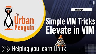 Using vim in Linux to Elevate with sudo