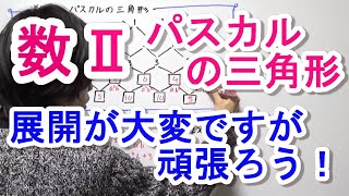 【高校数学Ⅱ】パスカルの三角形