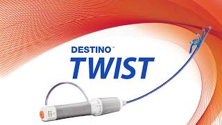 Destino Twist Intro