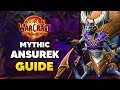 Mythic QUEEN ANSUREK Boss Guide and Fight Walkthrough | WeakAuras, Raidplan, and More!