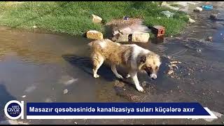 Masazırdakı kanalizasiya probleminin səbəbi nədir?