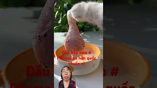 Chef Cat # Authentic Korean Chicken Cheese # Chef cat chang An #catcute #catcute