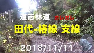 道志林道 田代〜椿線 支線 最期ガレガレ