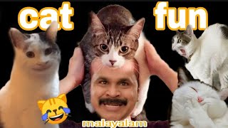 പൂച്ച ser ഒരു കില്ലാടിതന്നെ 😹| cat fun malayalam troll video |funny cats |sarath editzz