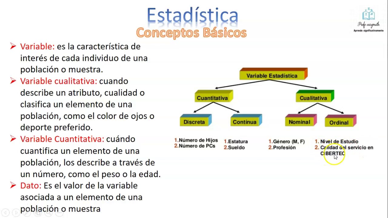 Conceptos Básicos De Estadística - YouTube