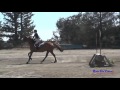 285xc taylor altizio on auto pilot sr novice amateur cross country woodside oct 2015