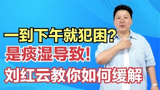 一到下午就犯困？是痰湿导致！刘红云教你如何缓解