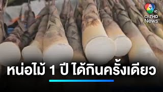 ป่าอุดมสมบูรณ์ ขุดหน่อไม้-เห็ดป่า ขายสร้างรายได้ | เจาะประเด็นข่าว 7HD