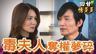 《回甘情多多》EP409 毒夫人  奪權夢碎