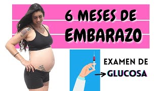 Mi sexto mes de embarazo 🤰🏻 Embarazo mes a mes ✨ 6 meses de embarazo 💉 Test de glucosa