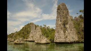 Yapap - Misool, Raja Ampat, Papua, Indonesia