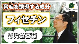 育毛効果！フィセチンってなぁに？｜#06 九州大学 片倉喜範先生