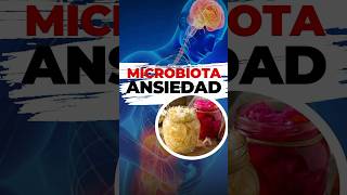 Conexión entre la Ansiedad y la Microbiota | Alimentos Antiinflamatorios | Ayurveda