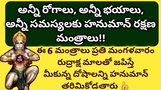 అన్నీ రోగాలు, అన్నీ భయాలు, అన్నీ సమస్యలకు హనుమాన్ రక్షణ మంత్రాలు/Nitya Slokas