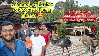 ഇതൊരു മിനി zoo ആണോ 😱🤩| ചാർളി ബാഹുബലി ഇൽ അഭിനയിച്ച കുതിര വരെ ഉണ്ട് ഇവിടെ| exotic pets,donkey,horse