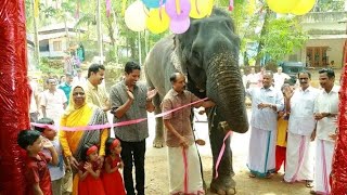 മിനിയെ അവസാനമായി കാണാനെത്തി കൊളക്കാടൻ ആന സഹോദരന്മാർ | Kolakkadan Mini Elephant