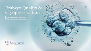 Embryo Quality & Cryopreservation | How embryos are created & how it affects your FET success