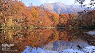 [福井]福井県大野市、刈込池の紅葉[EOS R5 UHD 8K 顔声曲無] - Autumn leaves at Karikomiike Pond,Ono City, Fukui Prefecture